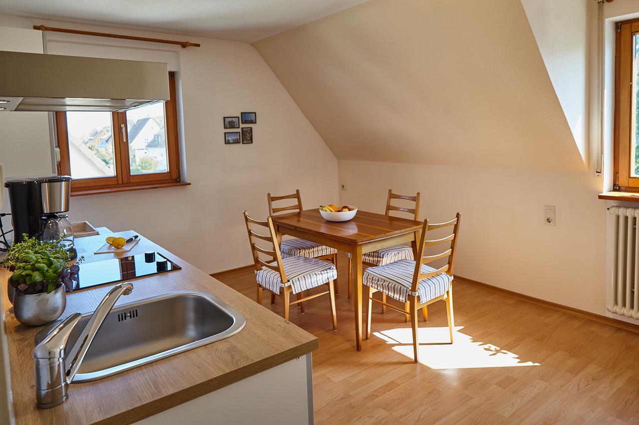 Bodensee Apartment Friedrichshafen Seenah Exteriér fotografie